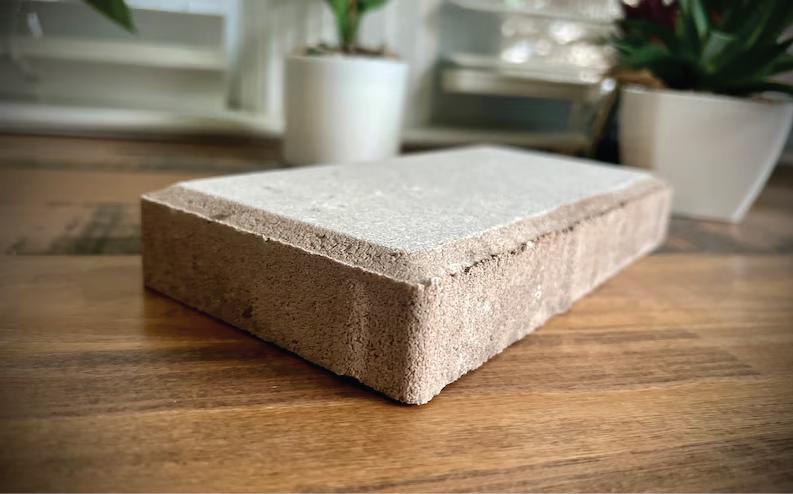 Personalized Dog Memorial Stone: Concrete Pet Loss Gift